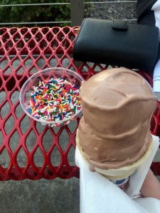 Chocolate frozen custard cone, BOWL of sprinkles